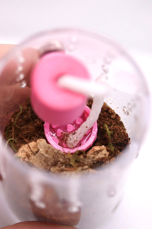 Sling Water-wicking Bowl