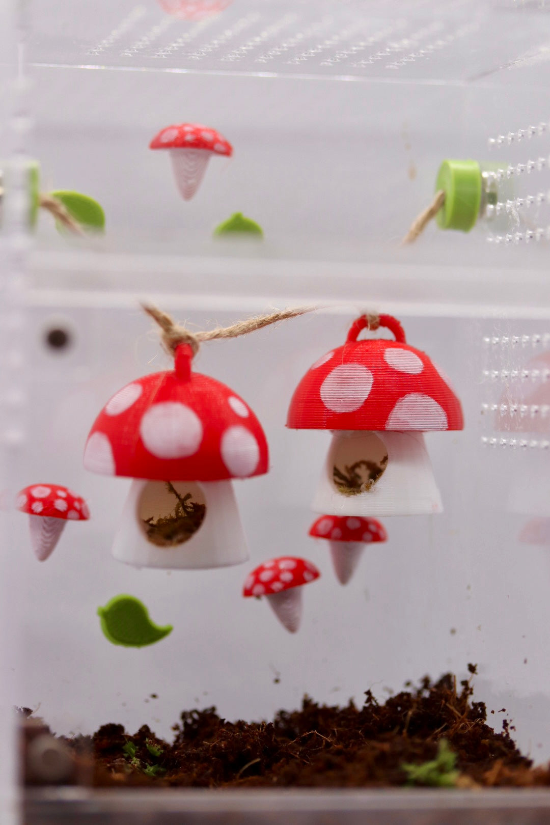 Mushroom Spood Set