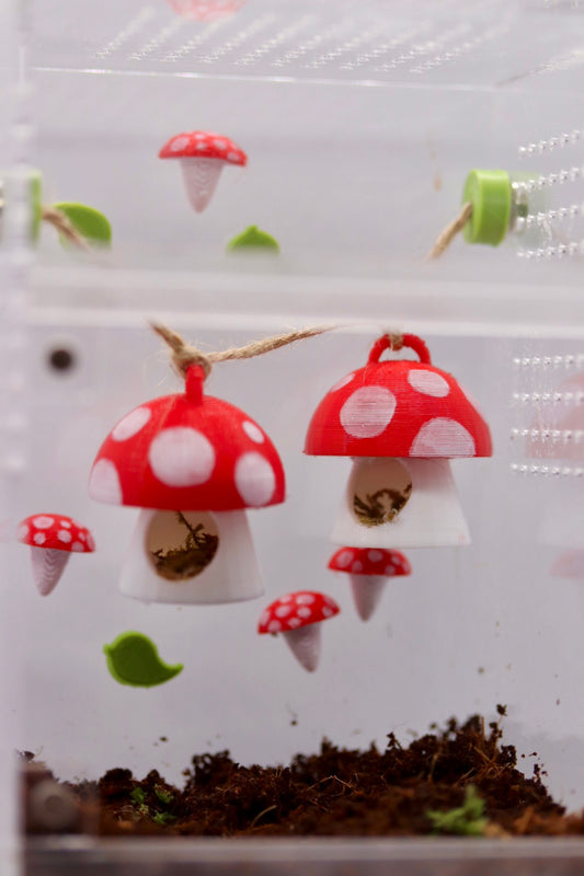 Mushroom Spood Set