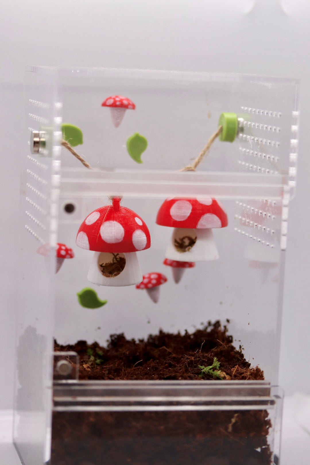 Mushroom Spood Set