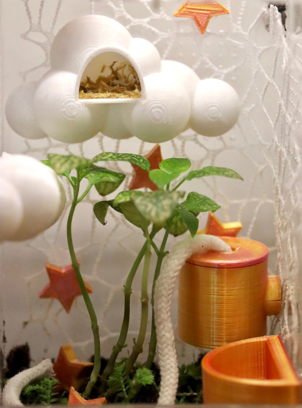 Large Water-wicking Bowl